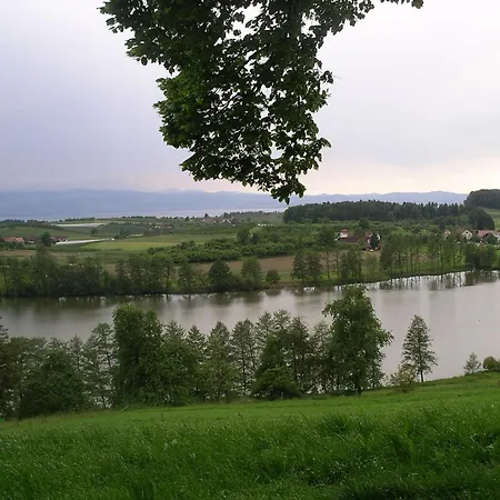 Meier *