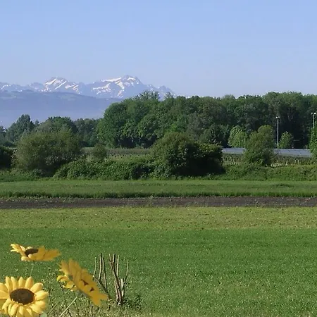 Meier * Kressbronn am Bodensee