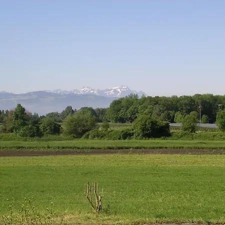 Meier
